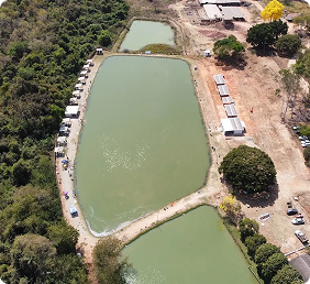 Etapa Classificatória 5