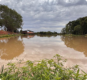 Etapa Classificatória 6