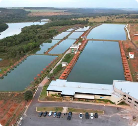 Etapa Classificatória 8